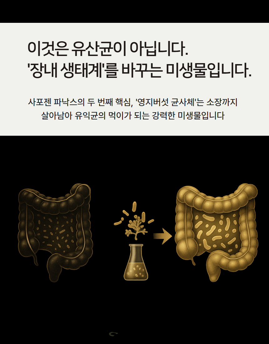 29fc5f313269f188c518ae4117e2d5e9_1755571212_1873.png 29fc5f313269f188c518ae4117e2d5e9_1755571212_1873.png