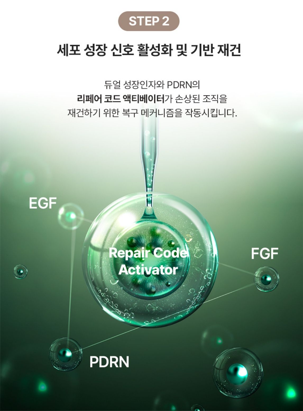 c9c025aeb427d1723ec8cc46837dc806_1765764233_9871.jpg c9c025aeb427d1723ec8cc46837dc806_1765764233_9871.jpg